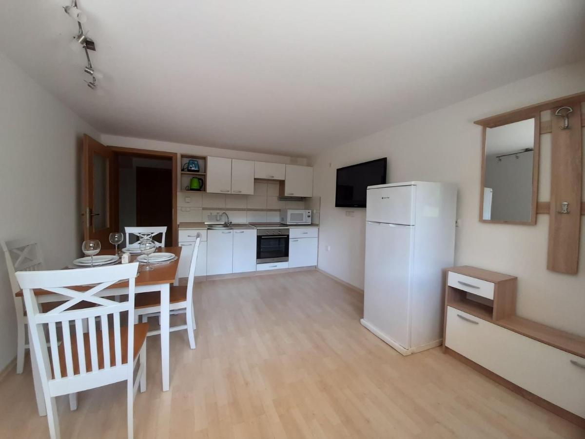 Apartament Tatiana โรกัชกา สลาทินา ภายนอก รูปภาพ