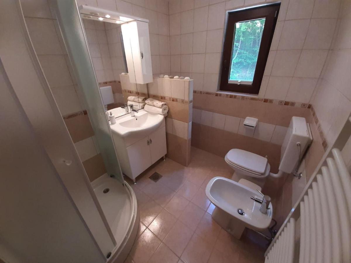 Apartament Tatiana โรกัชกา สลาทินา ภายนอก รูปภาพ